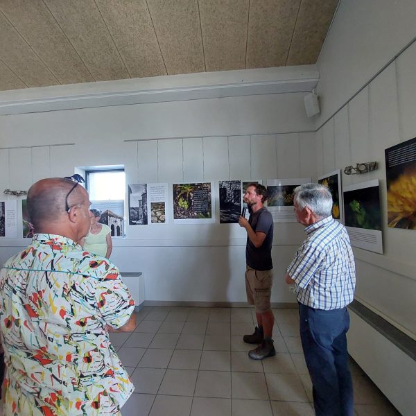 1241395f-76ca-47c3-a7e6-75d5bd87e4b1