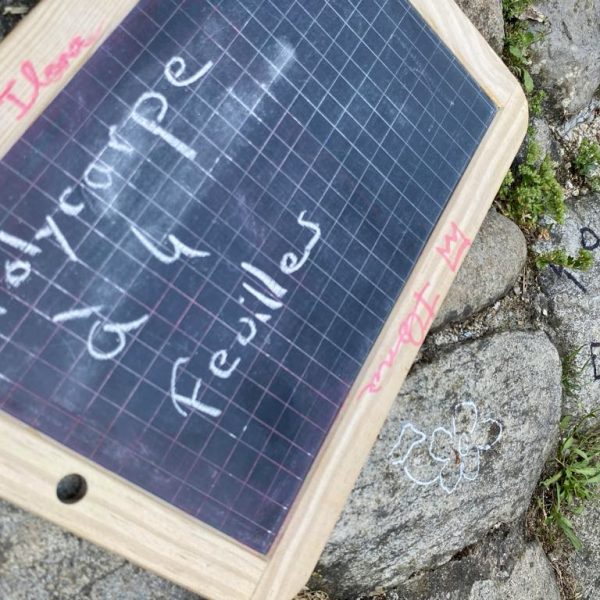 12f066e5-4437-4d44-ace0-b068bbef1c28