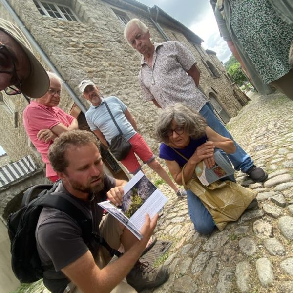 18fe3d83-7c91-4d84-ac61-3e90a3ba5a96