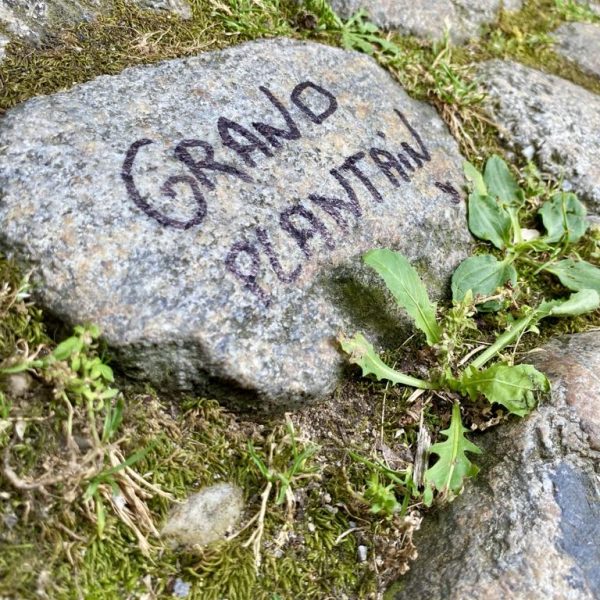 1dc0a8c6-b6a8-4aaa-a13a-9c956ee5a2bb