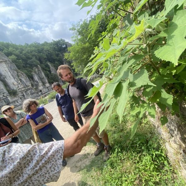 24b25ee7-0b32-408a-9b26-95970994d9e6