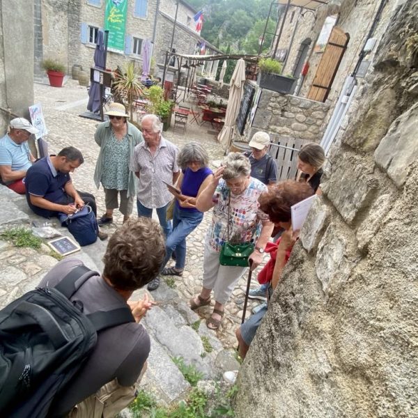 36c27736-42ec-4a73-b358-1350d6700cd2