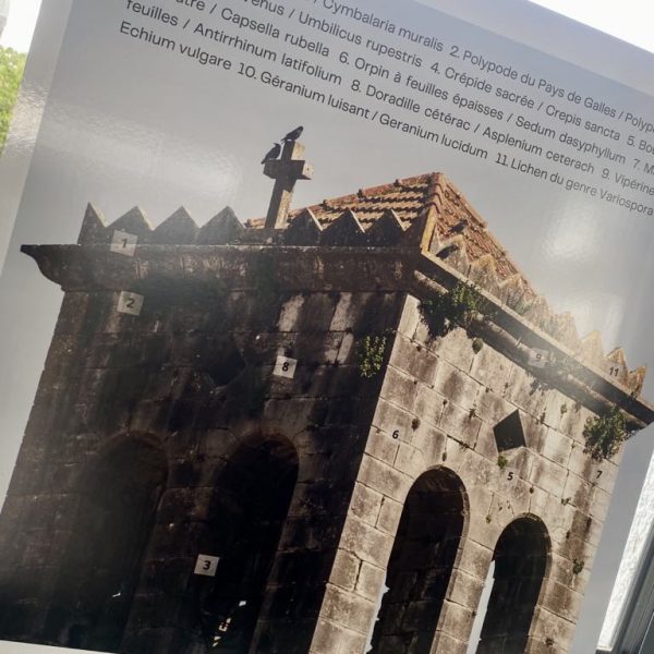 417d35e7-105f-4bec-9256-ac5944d505be