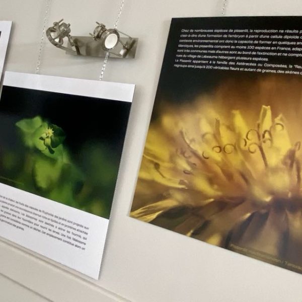 54ab5d58-8ed8-4611-8f45-87bd0c9f163d