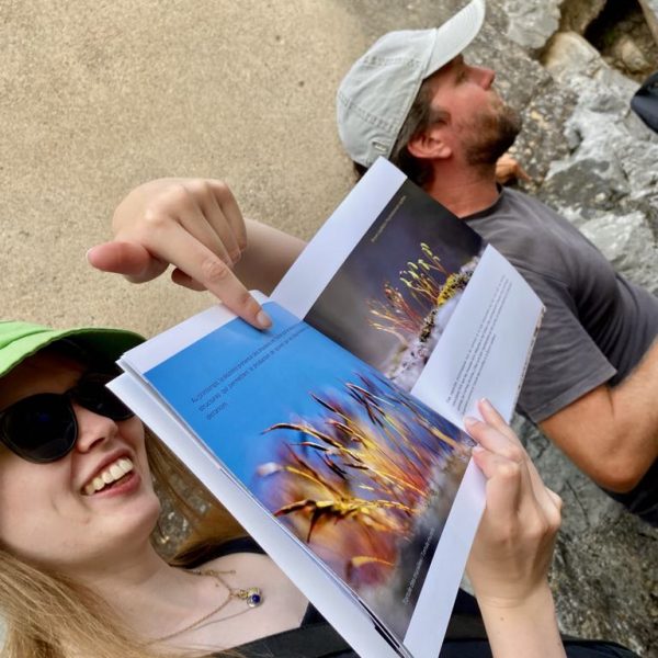 5cbc95c8-1781-44bd-9dfe-31a4c22d0951