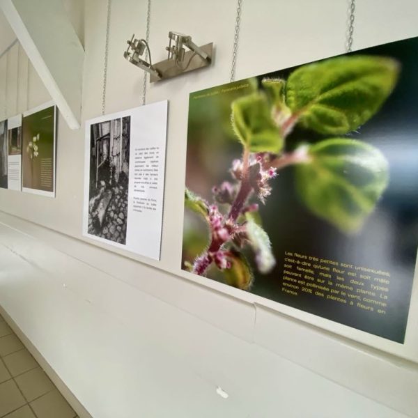 8e867b74-a7d3-45e5-aa43-beea1aa37afe