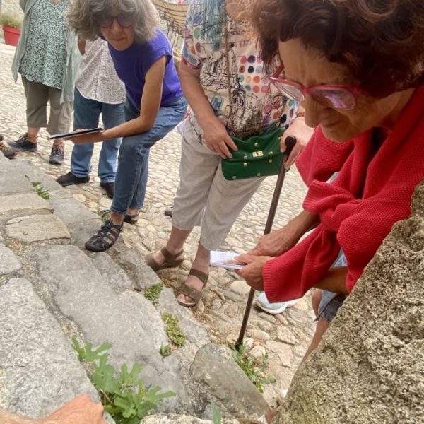 9519dba3-ce06-440c-8bd3-b84b55639f01