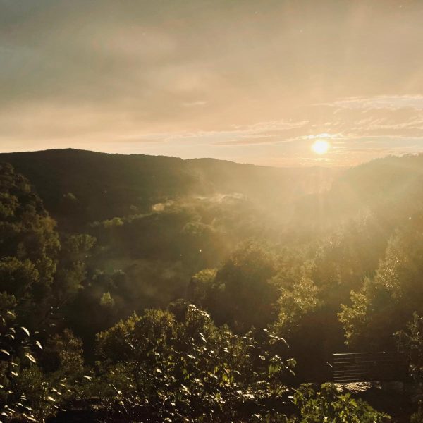 WhatsApp Image 2025-09-09 at 16.55.41