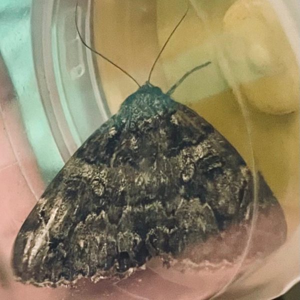 WhatsApp Image 2025-09-09 at 16.55.42 (11)