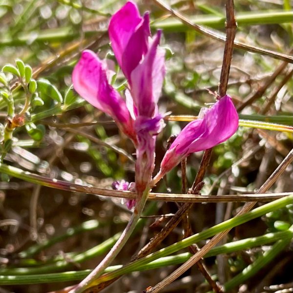 WhatsApp Image 2025-10-20 at 14.38.16 (10)