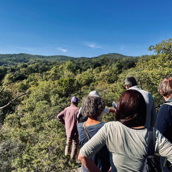 WhatsApp Image 2025-10-20 at 14.38.16 (12)