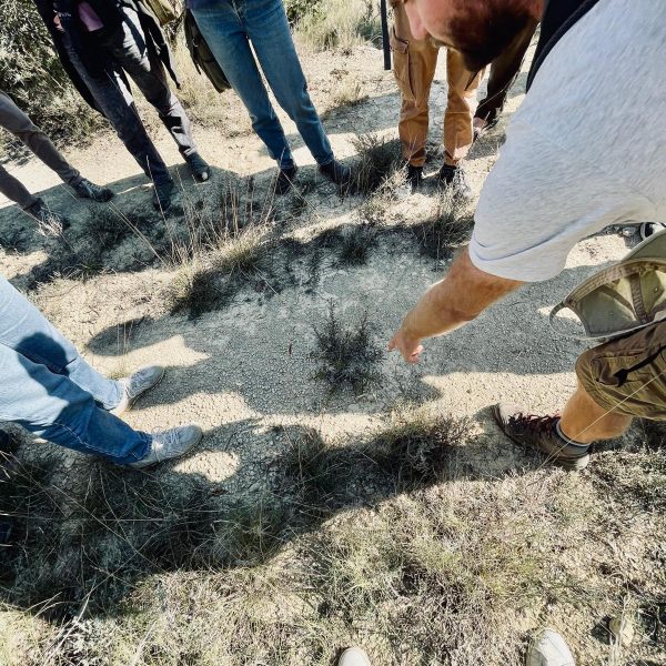 WhatsApp Image 2025-10-20 at 14.38.16 (8)