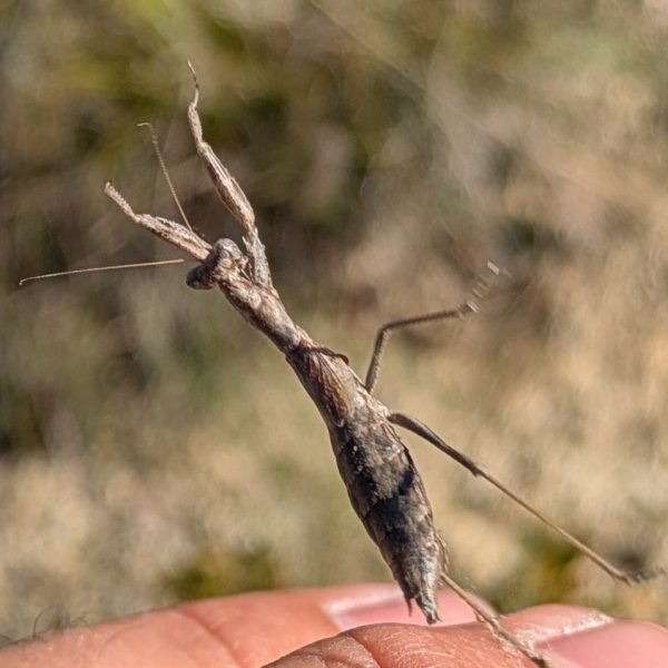 WhatsApp Image 2025-10-20 at 14.47.35