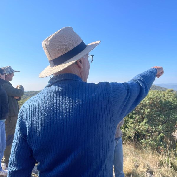 WhatsApp Image 2025-10-20 at 14.49.10