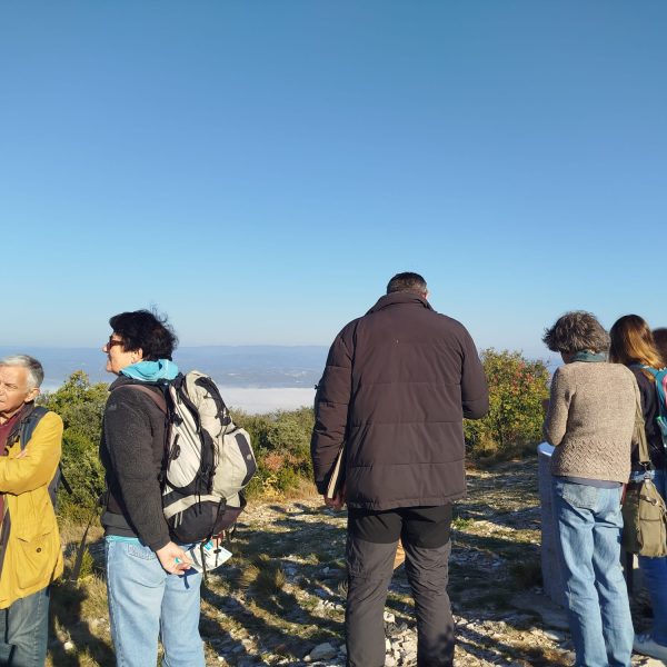 WhatsApp Image 2025-10-20 at 16.40.26