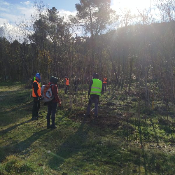 WhatsApp Image 2025-11-21 at 16.03.12 (1)