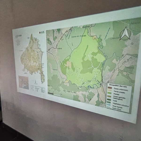 WhatsApp Image 2025-12-10 at 17.09.40 (3)