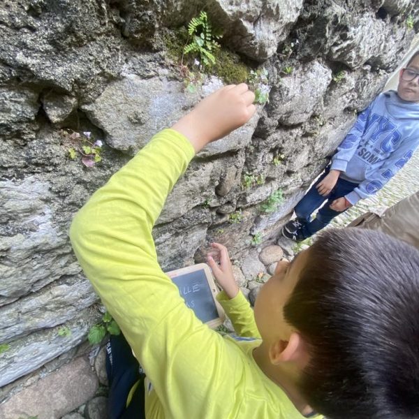 b3c45af1-0844-45ca-b24d-089454a2d775