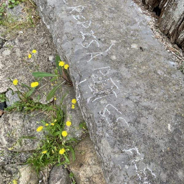 b4d53d03-2113-450f-ba52-b798c035c82f