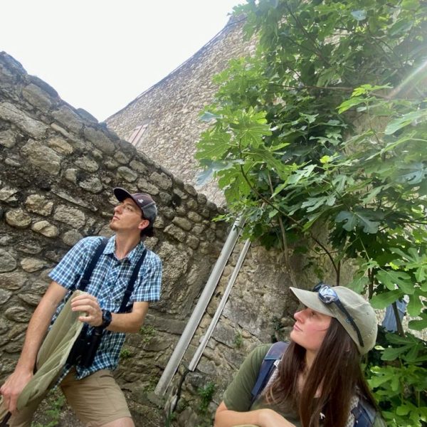 baab3da8-e236-4cab-b75a-8a30901d809d