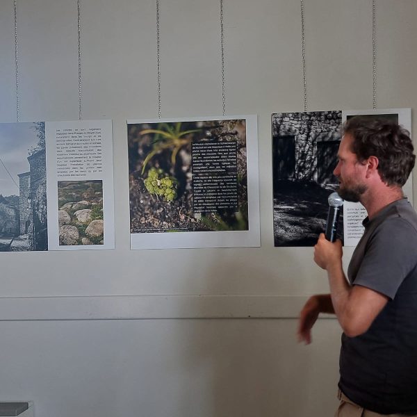 c1972806-706a-4401-a0be-36dc59fd3ebb