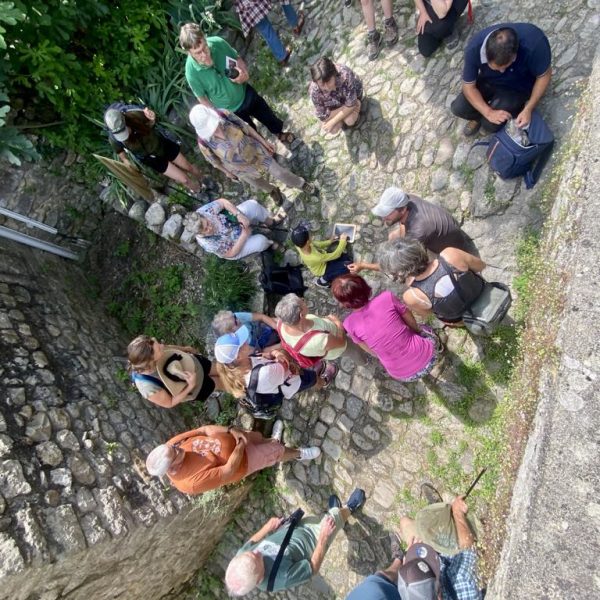 c5b23c3c-c2d7-489a-aa9c-3b3fa008e59a