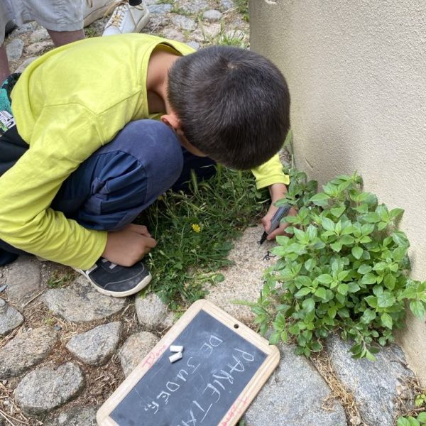 c5d02f35-b028-496b-99fc-28216f0585b8