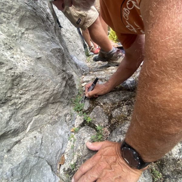 d206fb2e-3b01-4c8a-979d-40d8acab2380