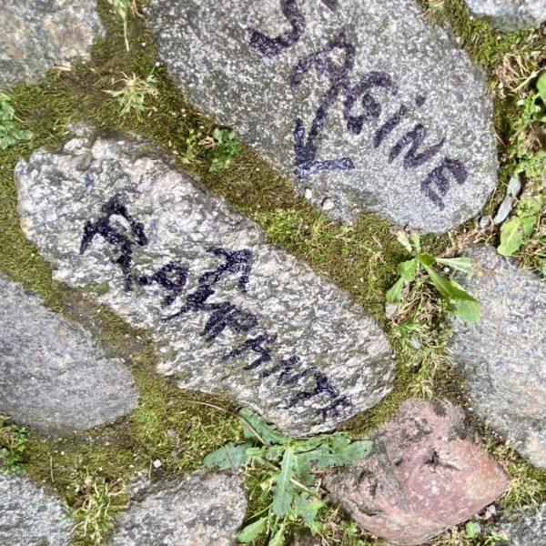 d4825d87-0768-4a91-b63e-2cf465e50245