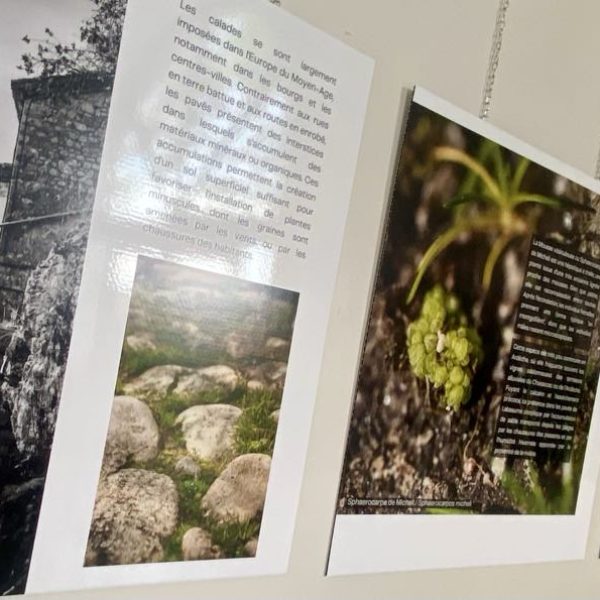 d828009a-df56-40cc-854f-c0f858bf12ef