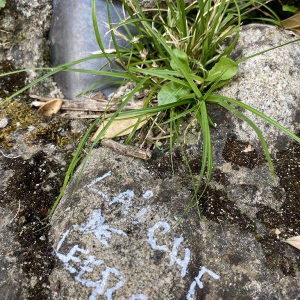 e3950f22-0dae-4f7e-ae90-d6b15a702f0e