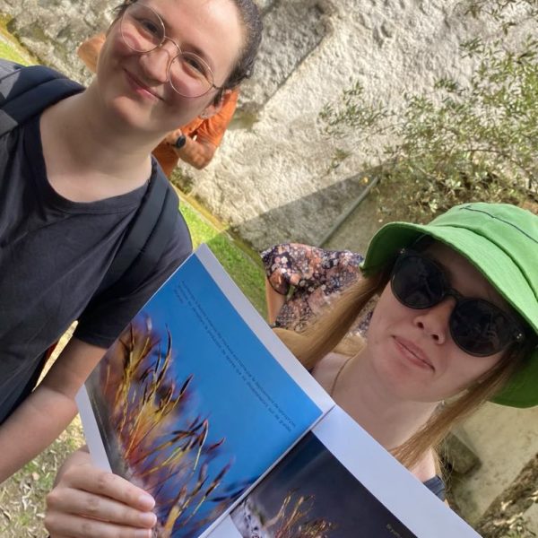 e84a6b59-ac9c-474c-bfef-6572feb1ff05