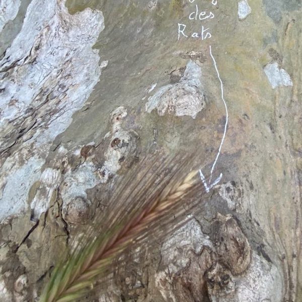 f6de95c9-06fb-43b9-ac2e-42d35fa7928e