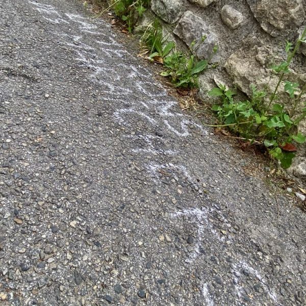 faca5103-93b5-474e-a24d-175d97f3a9df