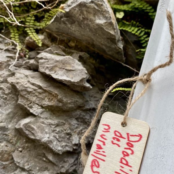 ff79aa9a-f866-4dc8-84a9-cec0785b74f3